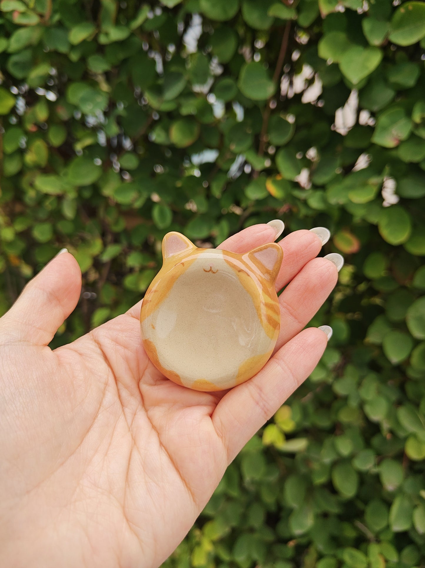 Orange Cat Worry Stone