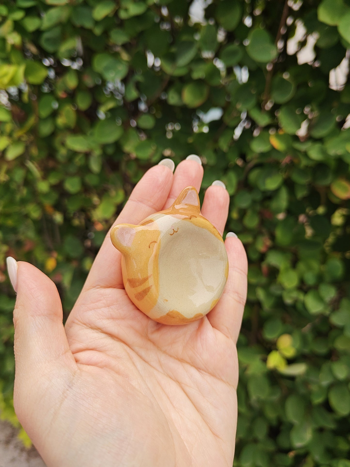 Orange Cat Worry Stone