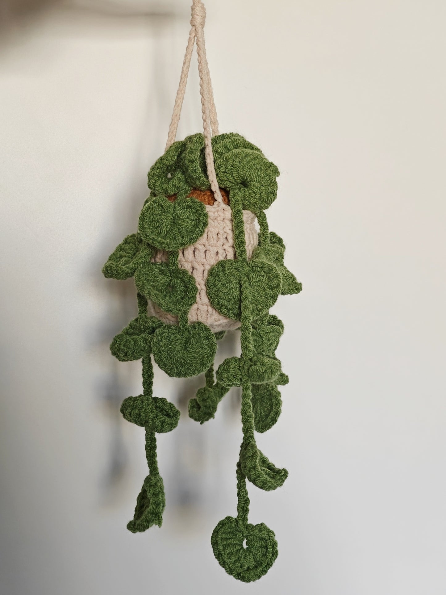 Crochet Plant Pot