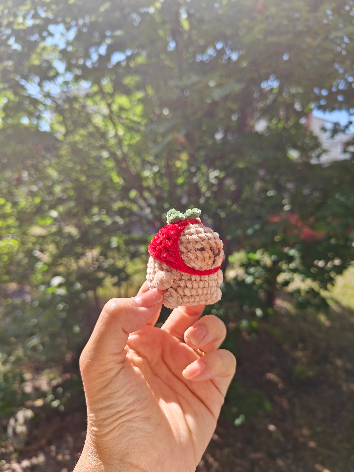 Crochet Mini Capybara