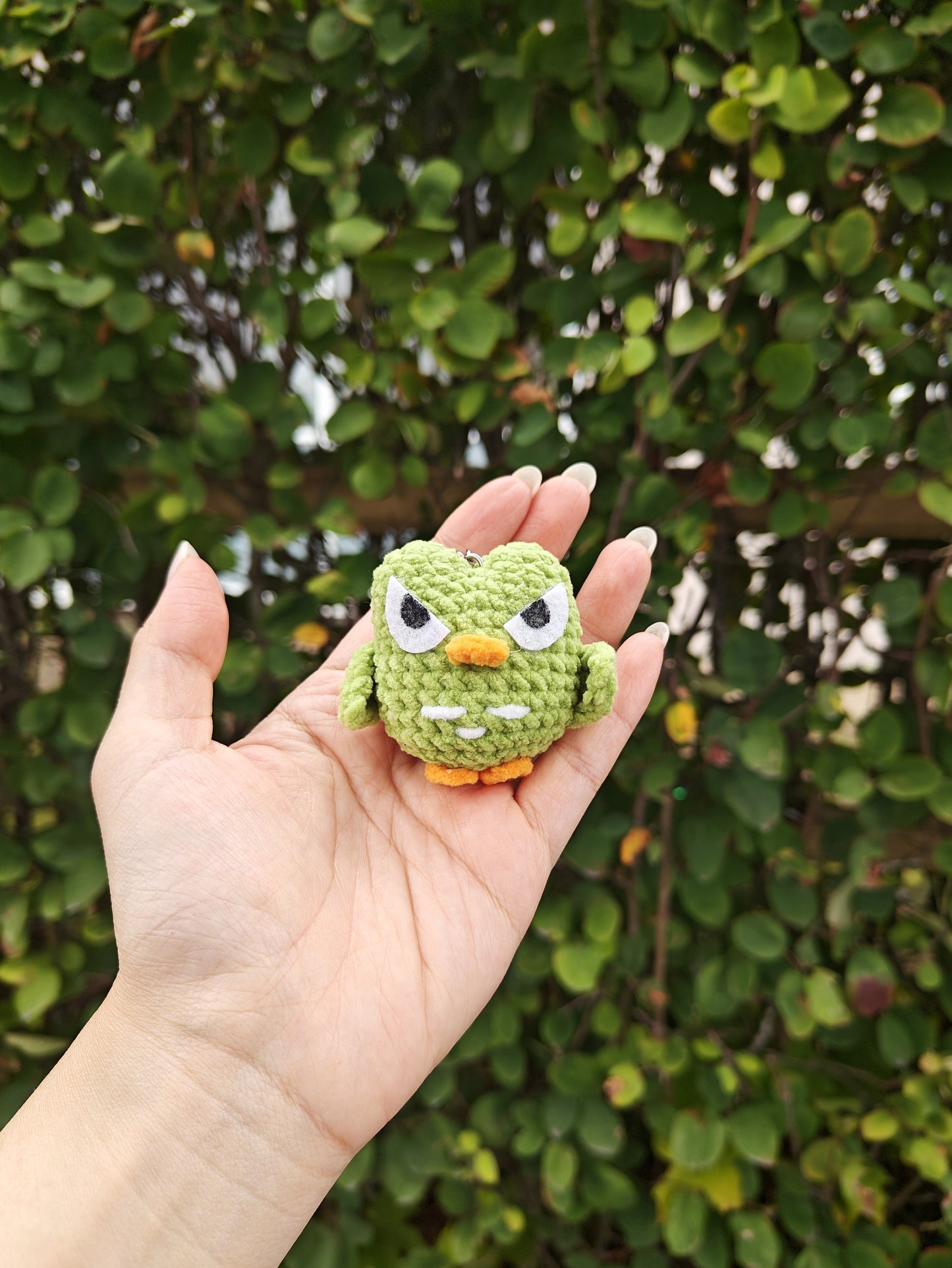 Crochet Mini Duolingo